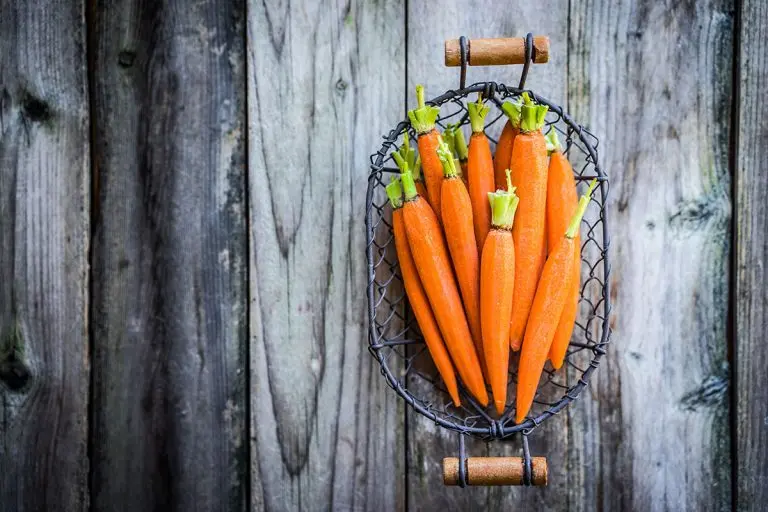 גזר גמדי אפוי