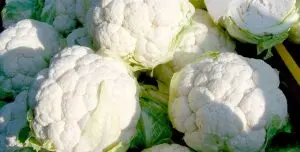 מאפה כרובית